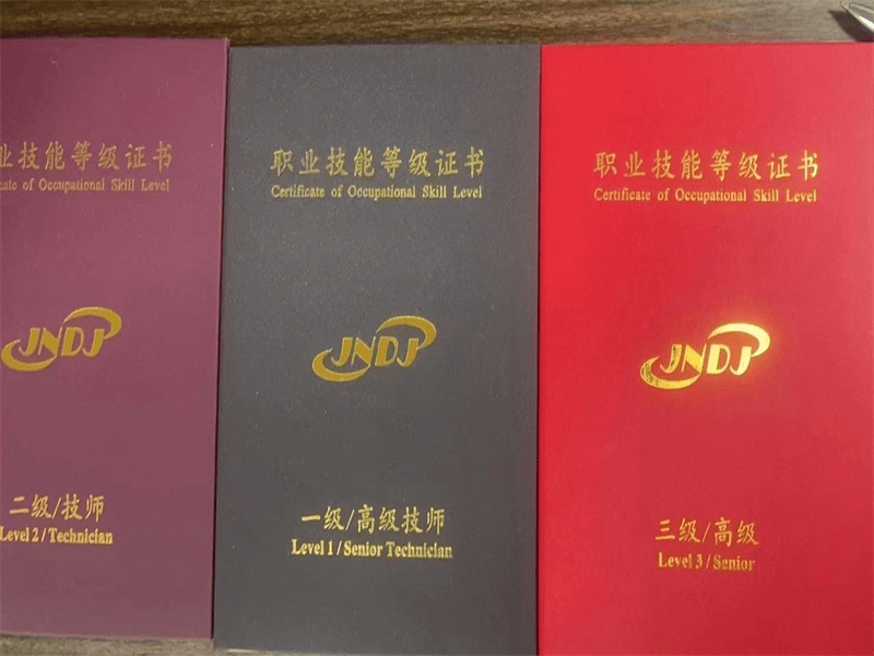 定制证书定制 定制证书定制-红金大气喜庆风